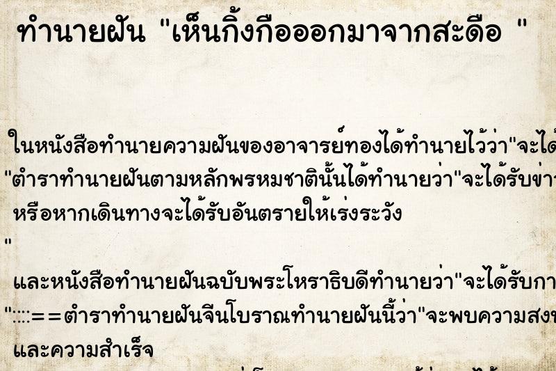 ทำนายฝันทำนายฝันเห็นกิ้งกือออกมาจากสะดือ